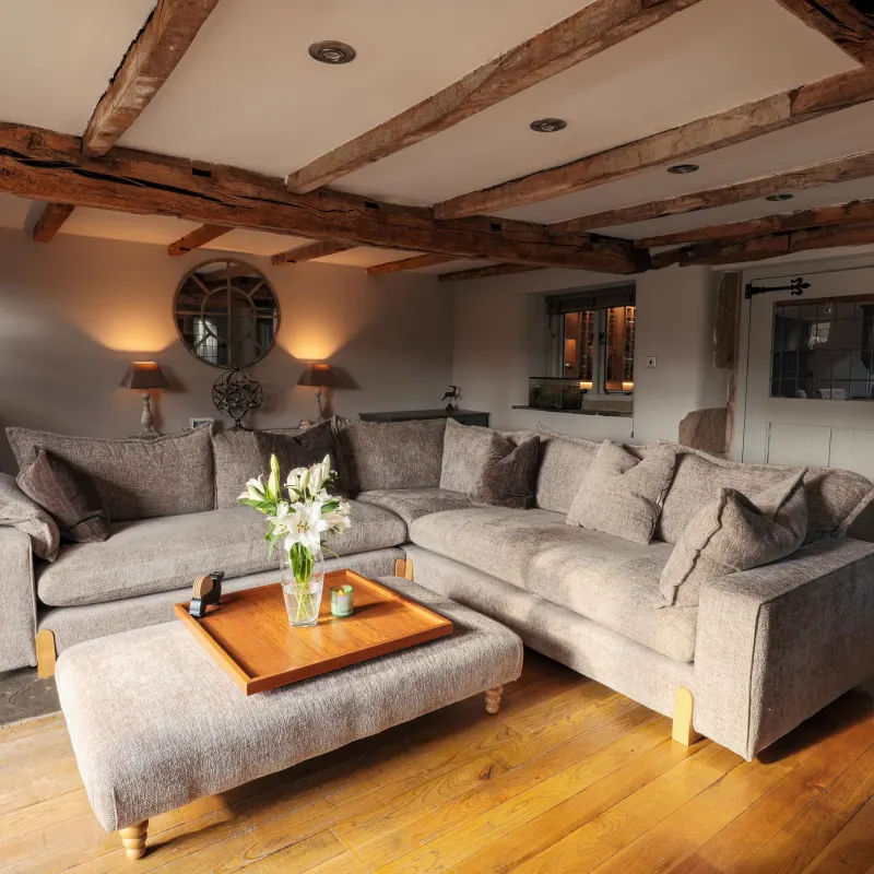 A sausage dog enjoying the luxury lounge